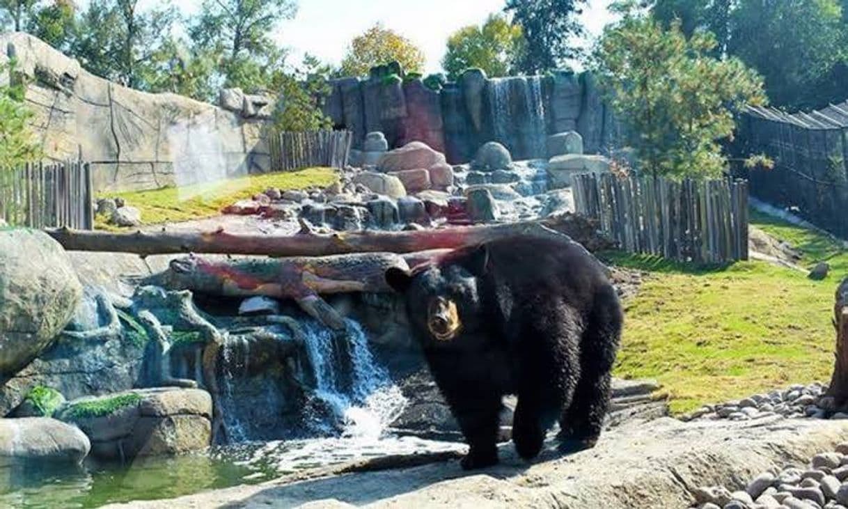 Lugar Zoológico Guadalajara