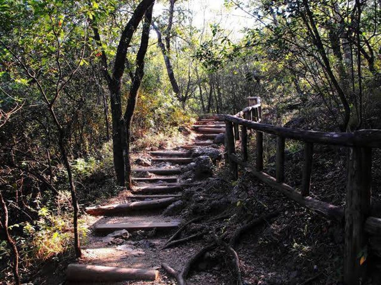 Lugar Cerro de Chipinque