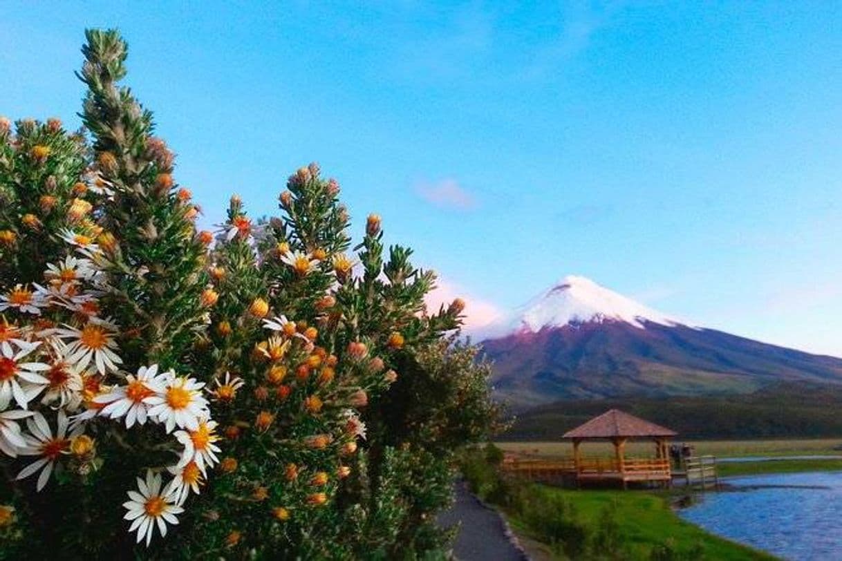 Lugar Cotopaxi