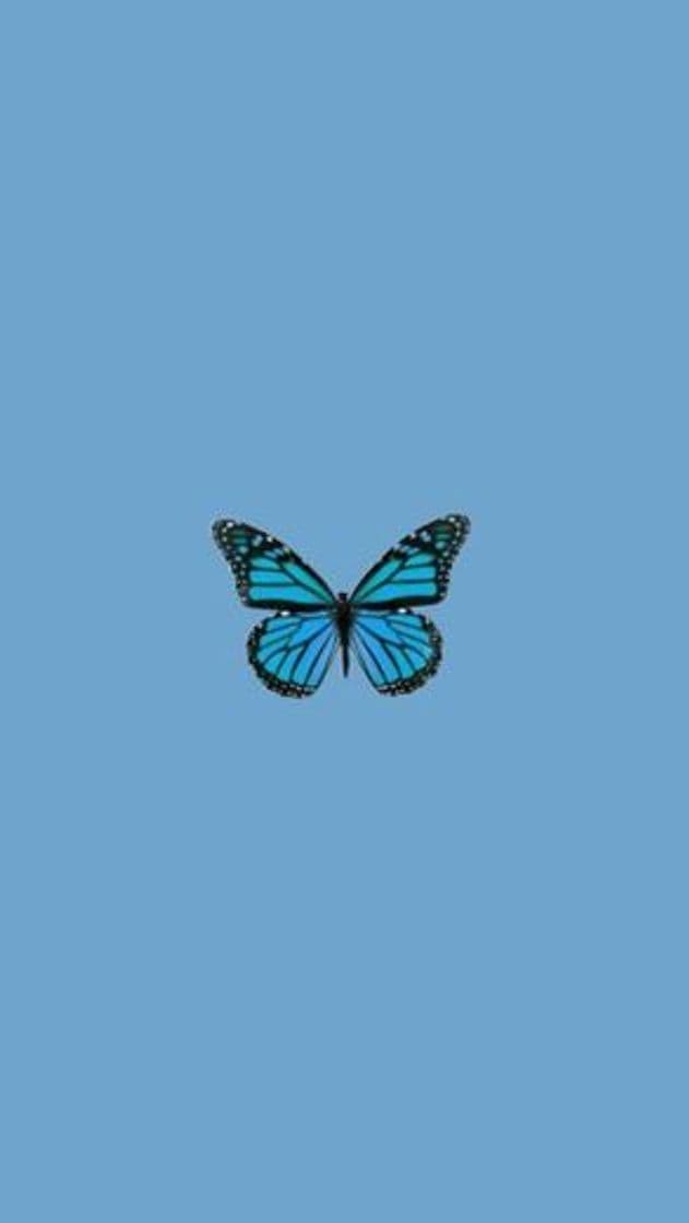 Product Wallpaper Butterfly Blue