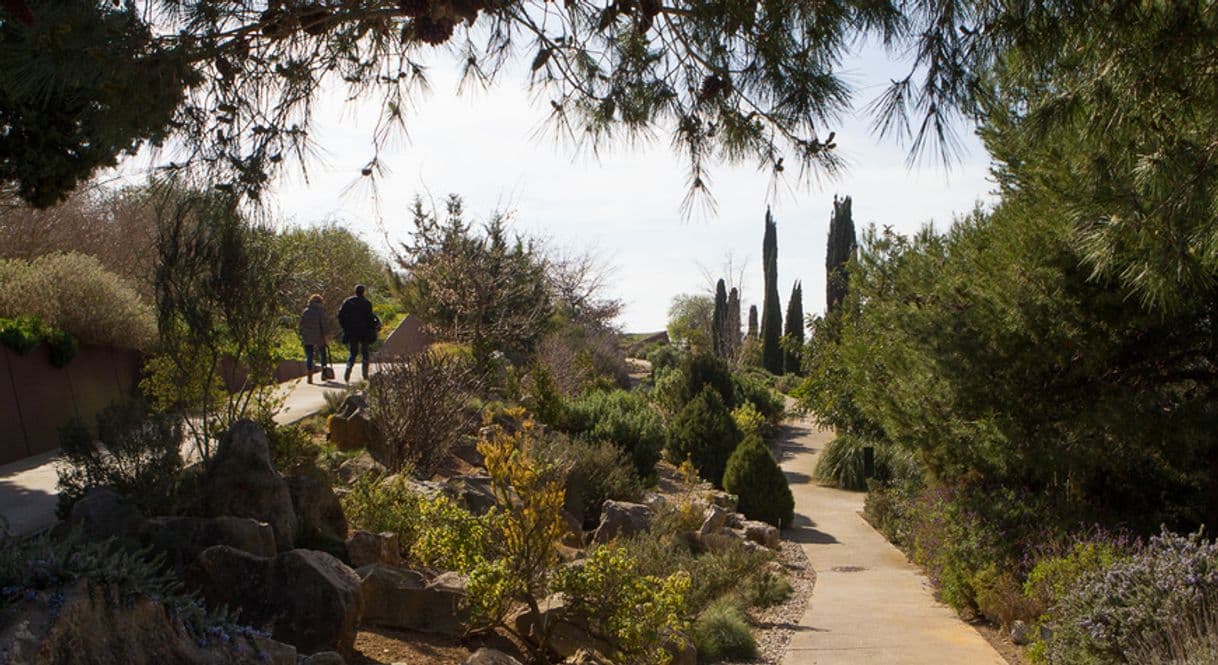 Place Jardí Botànic de Barcelona