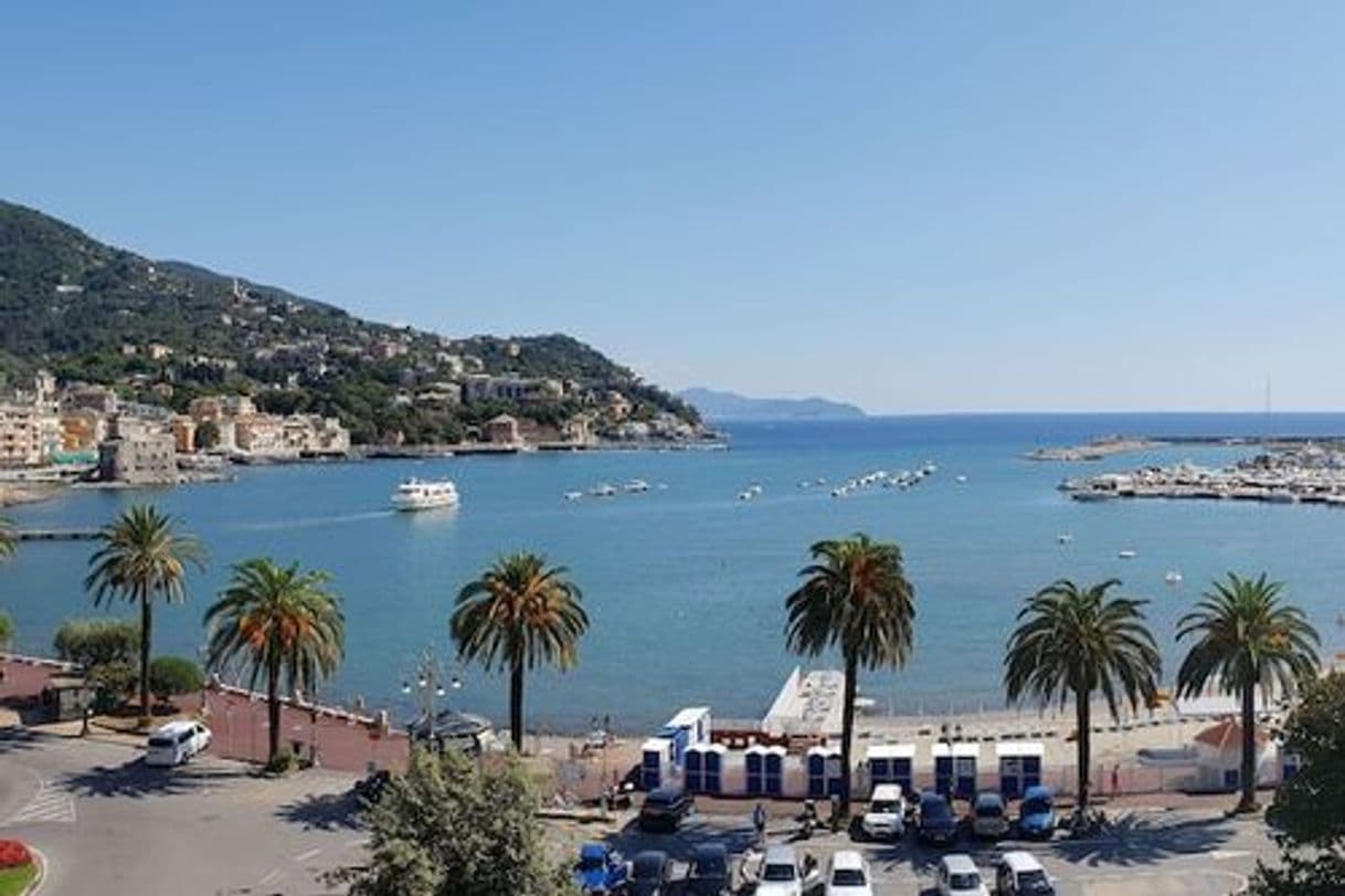 Place Rapallo