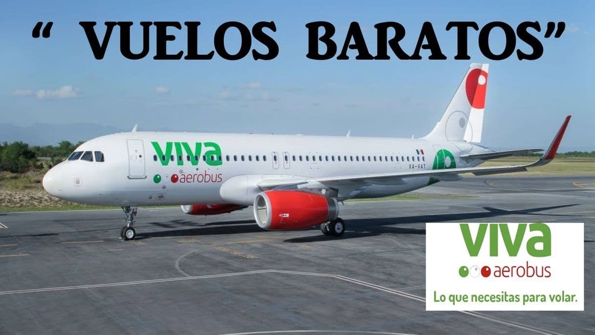 Moda Vuelos baratos | Boletos de avión | Sitio Oficial Viva Aerobus