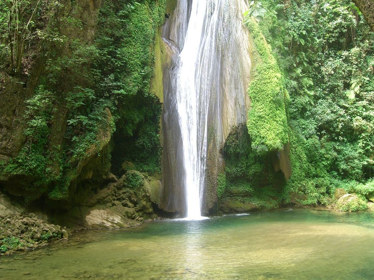 Lugar Reserva de la biosfera Sierra Gorda Guanajuato