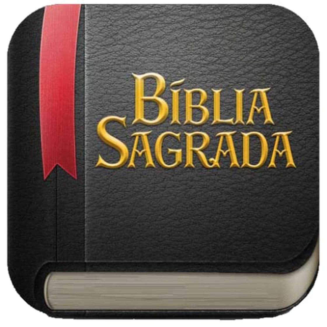 Product Holy Bible