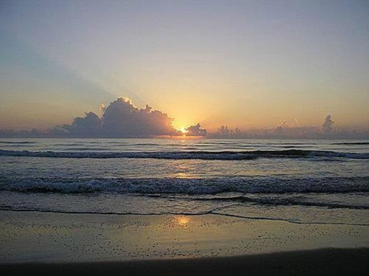 Lugar Padre Island National Seashore