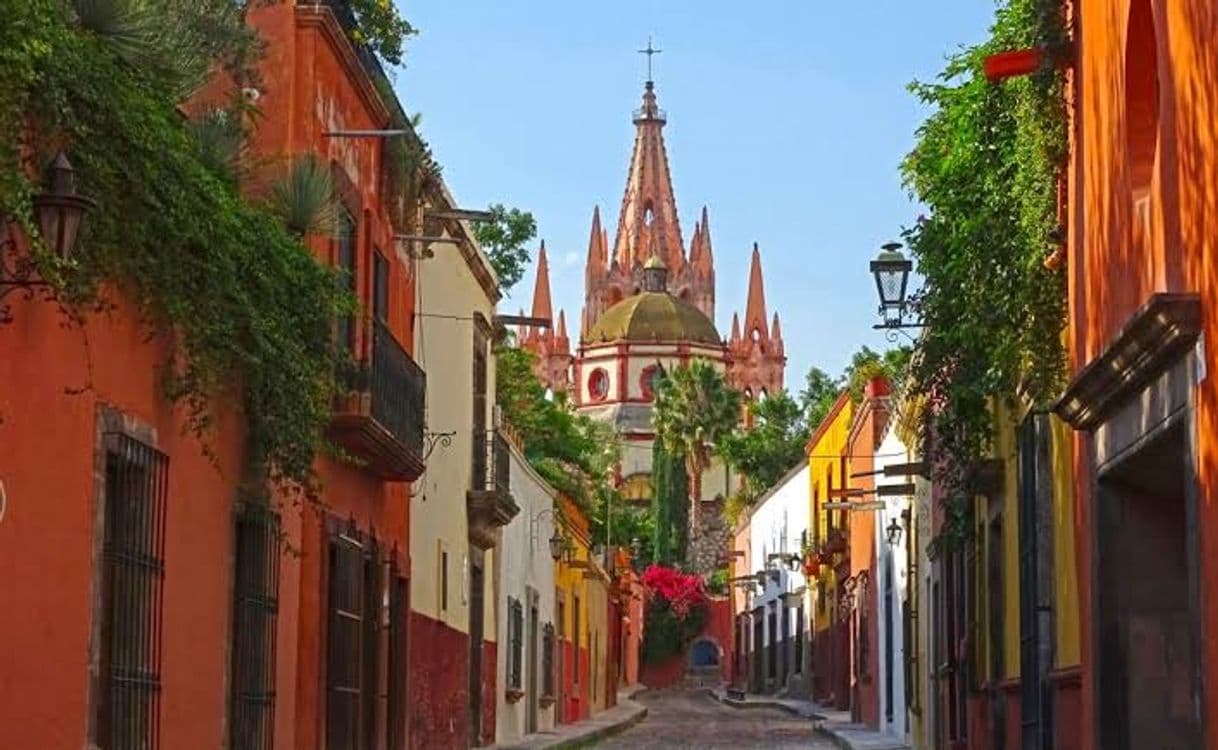 Place San Miguel de Allende