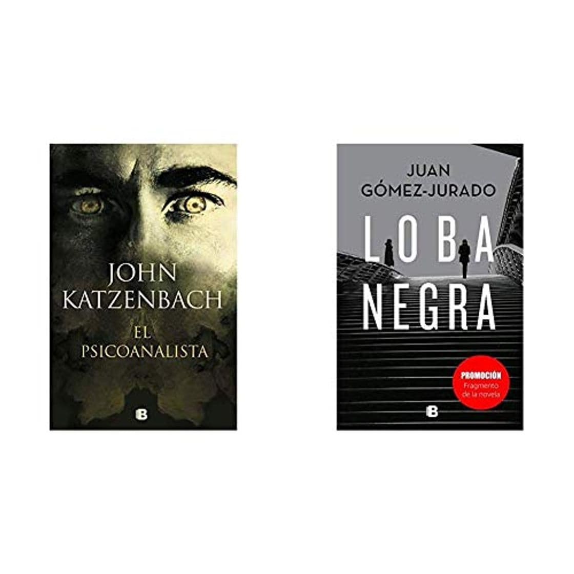 Book El Psicoanalista (La Trama)+Promoción fragmento de la novela Loba Negra (No venal)