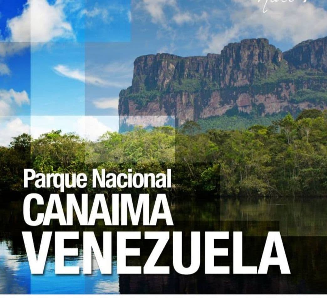 Lugar Parque Nacional Canaima