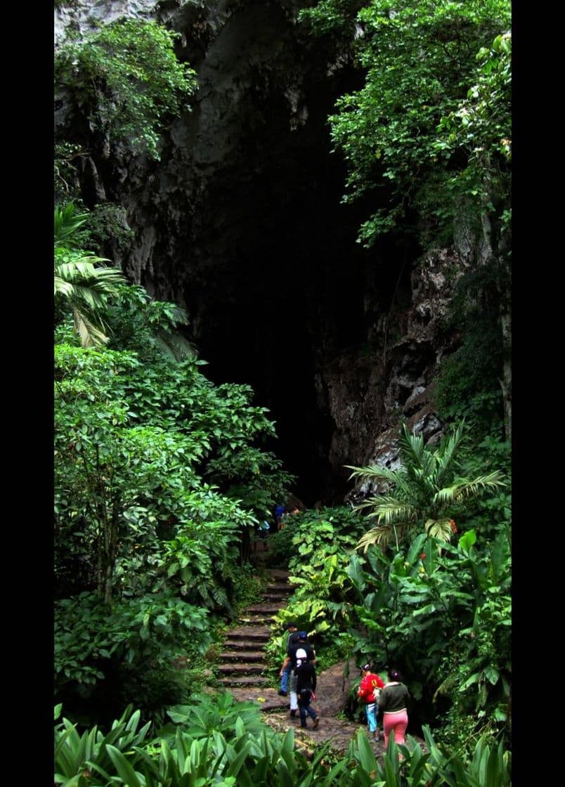 Lugar Parque Nacional El Guácharo