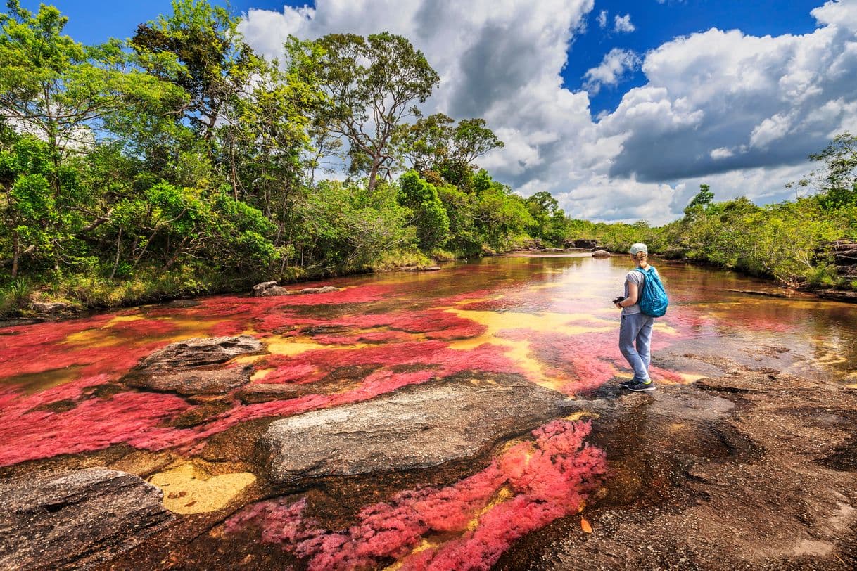 Lugar Caño Cristales