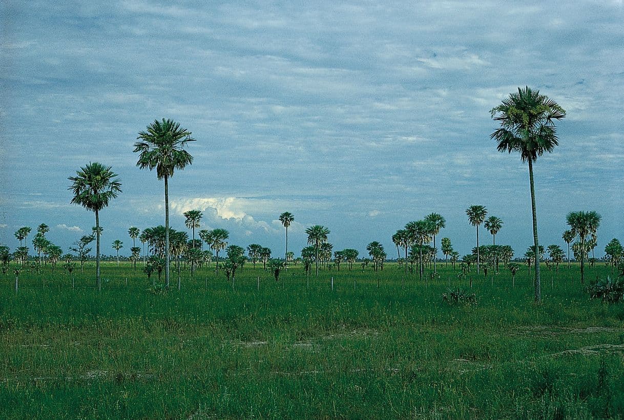 Lugar Chaco