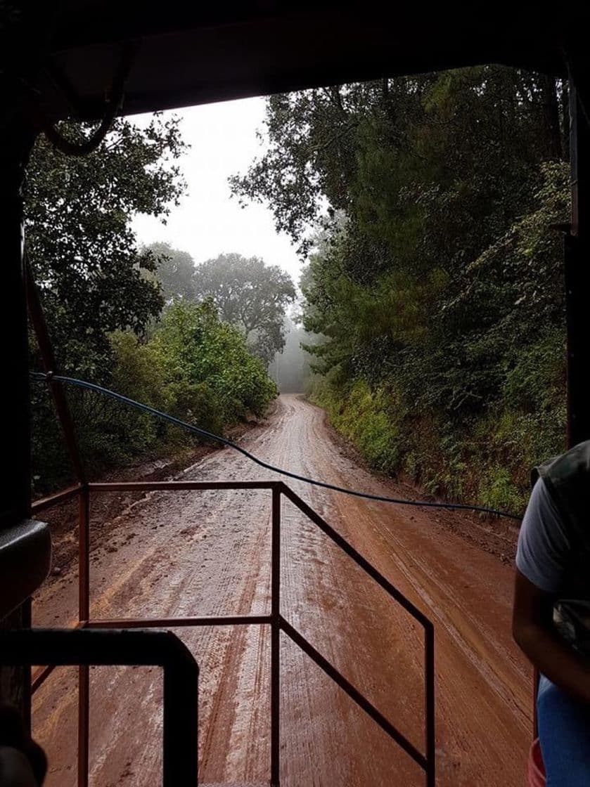 Lugar Mazamitla Sierra Tour