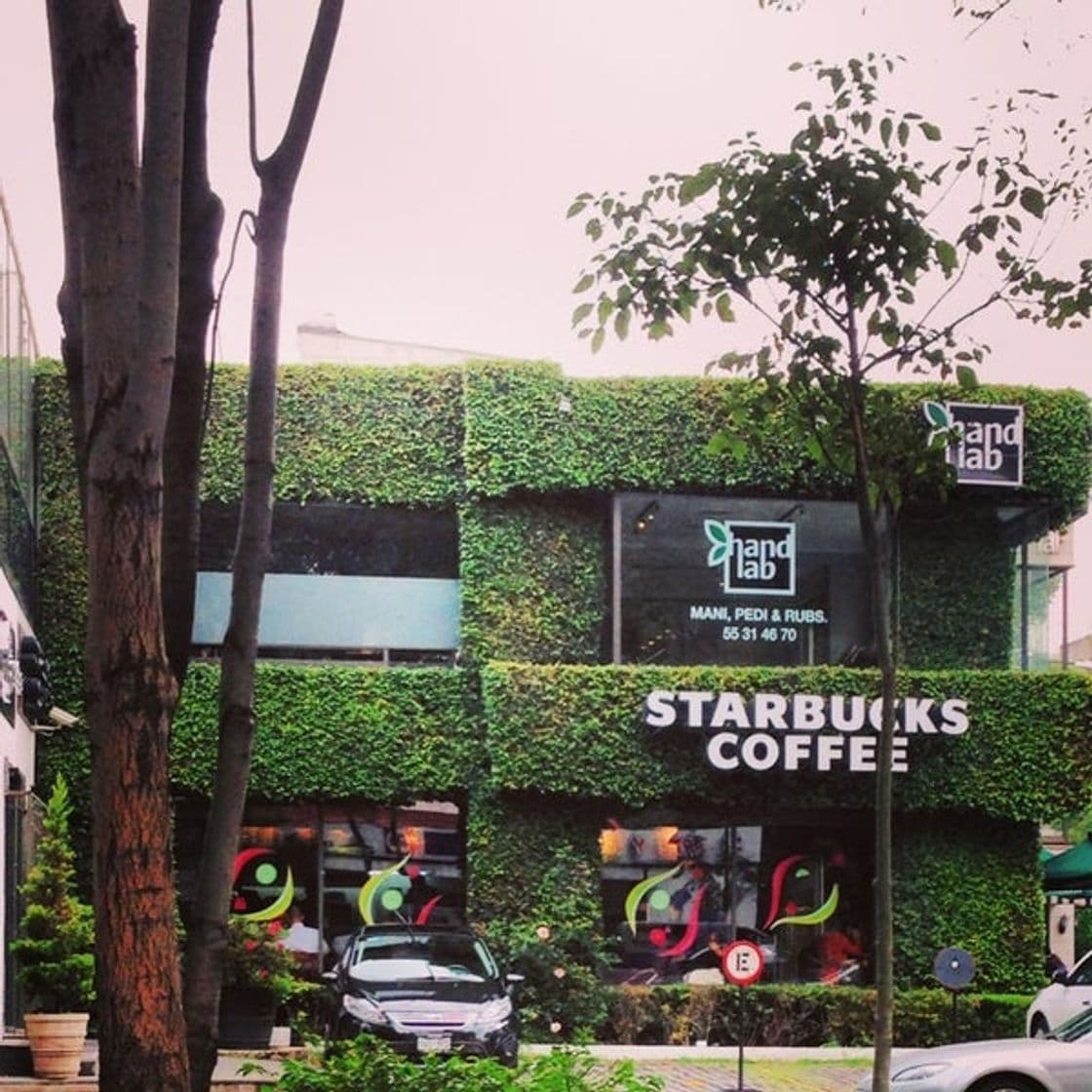 Restaurants Starbucks