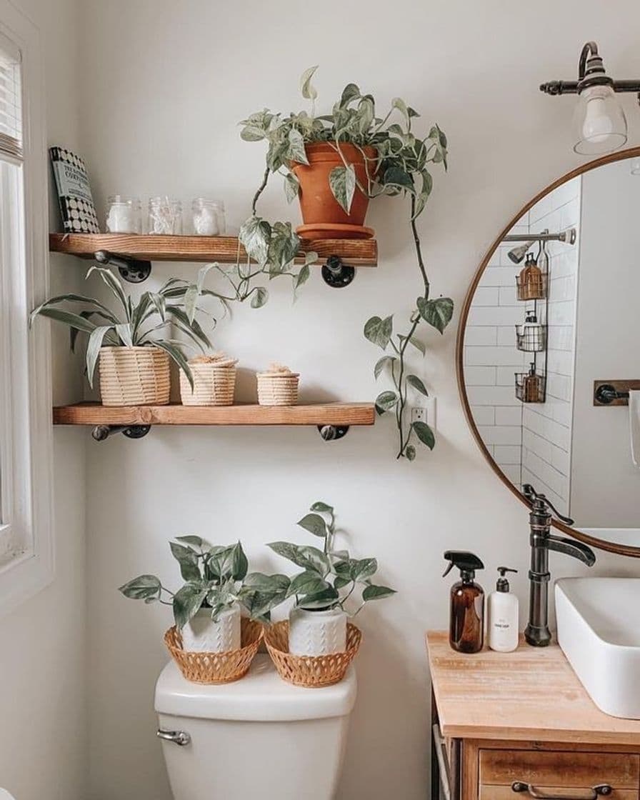 Fashion Bathroom￼￼ in nature