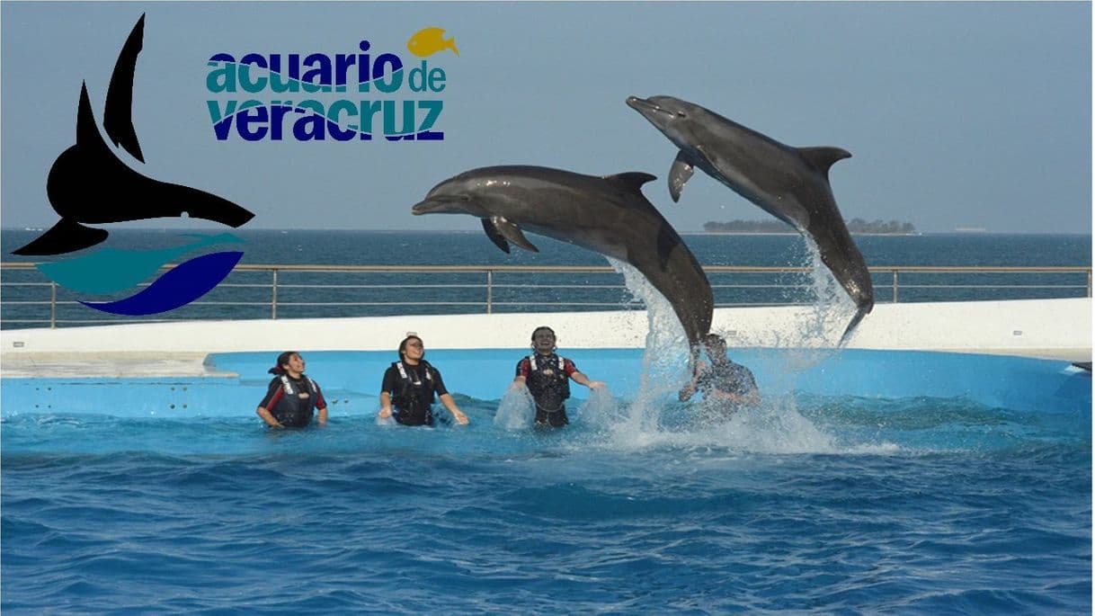 Lugar Acuario de Veracruz