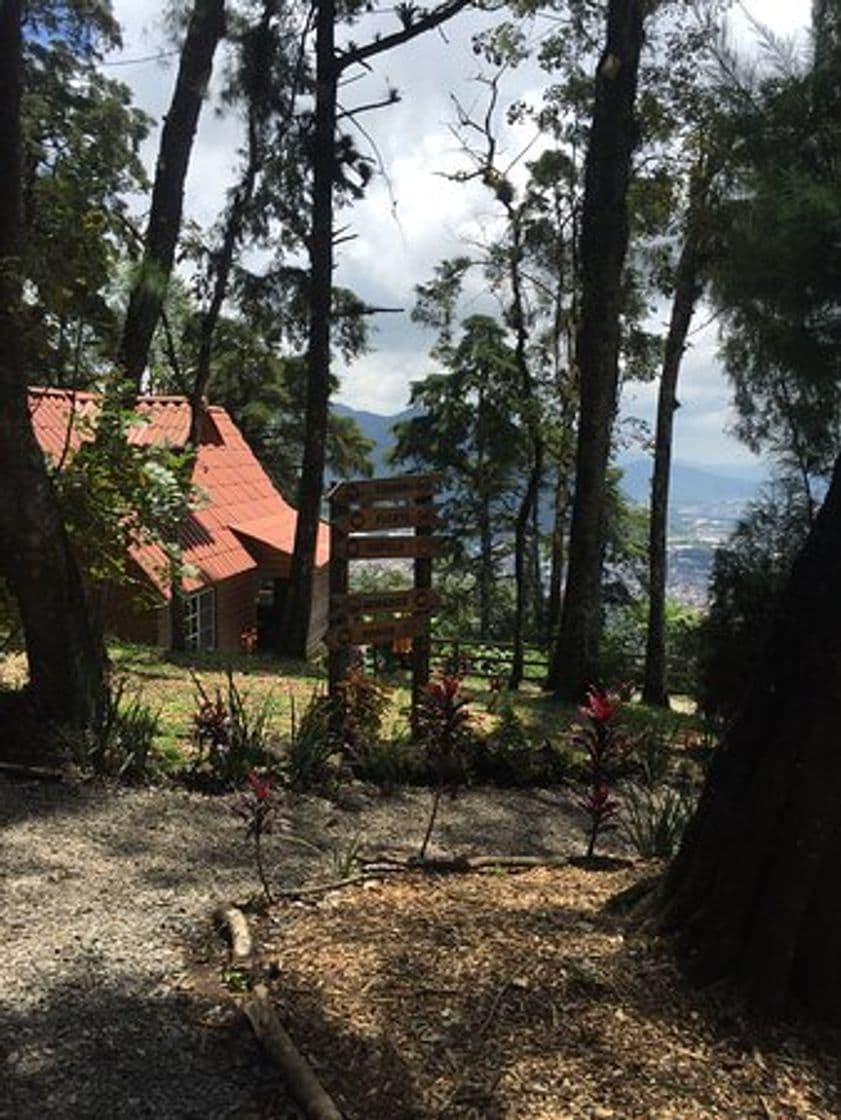 Place Cerro del Borrego