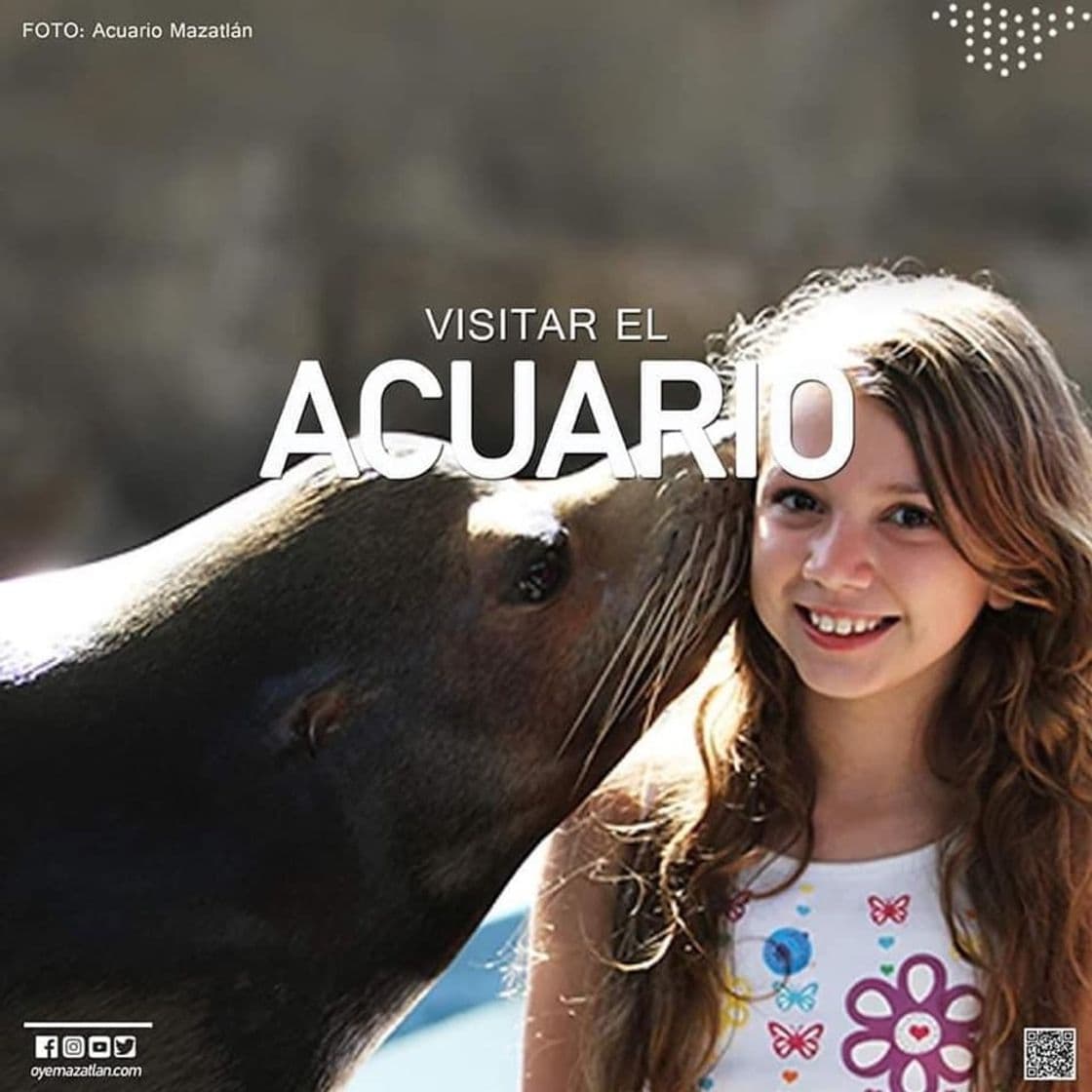 Lugar Acuario Mazatlán