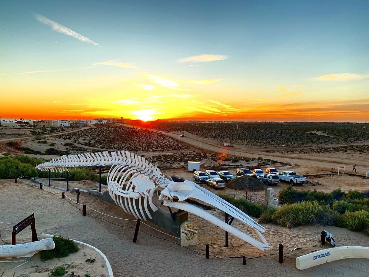 Place Centro Intercultural de Estudios de Desiertos y Océanos