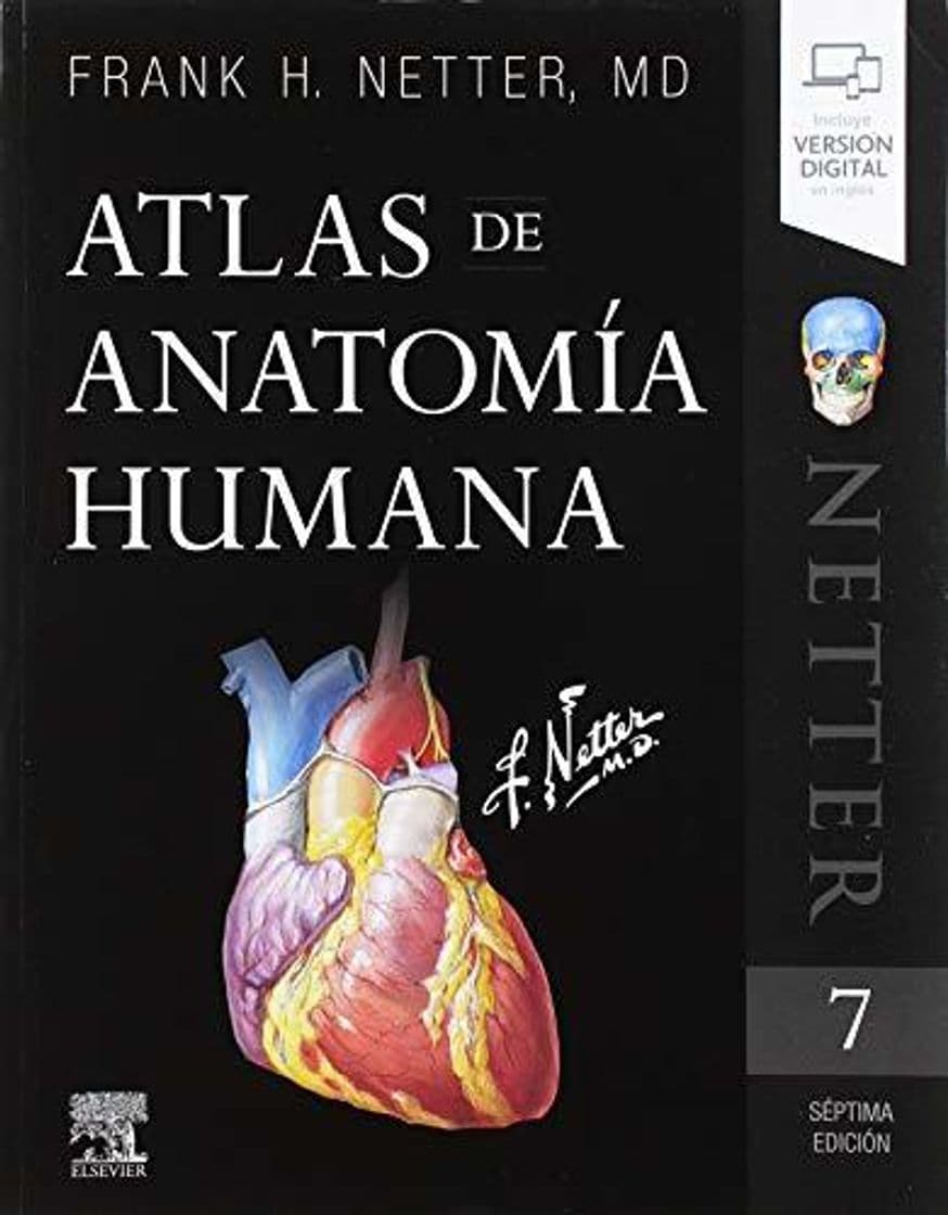 Libro Atlas de Anatomía Humana