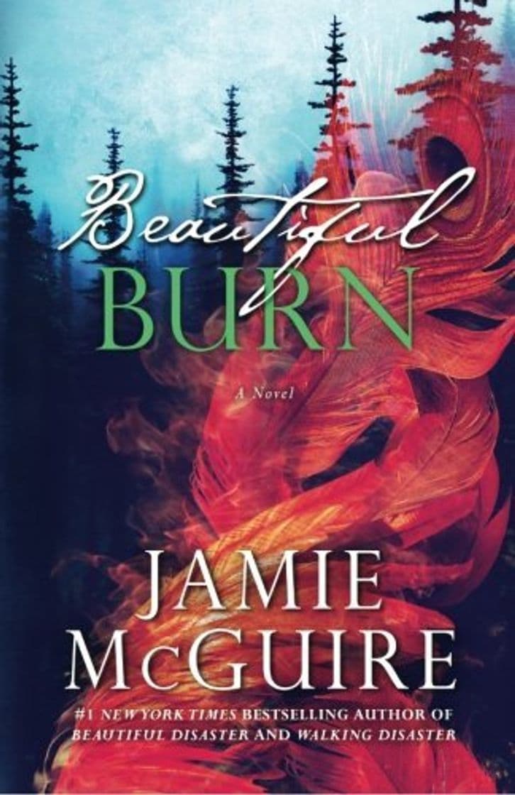 Libro Beautiful Burn: A Novel