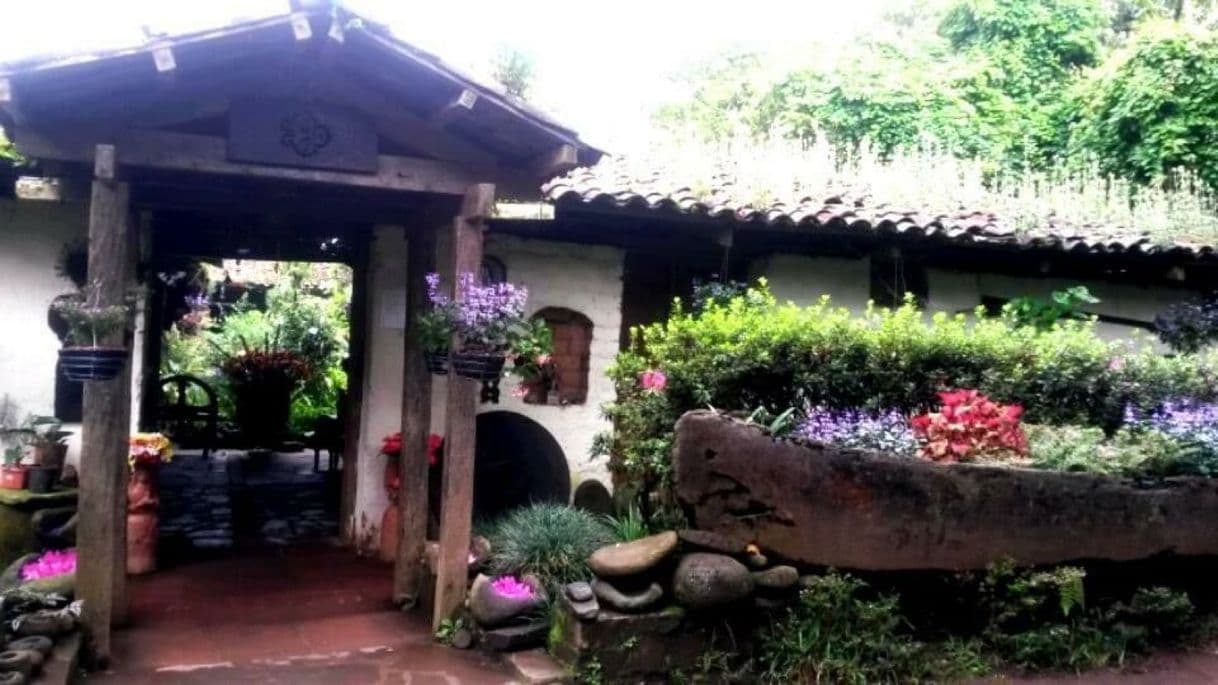 Restaurants El Jardin de Celeste