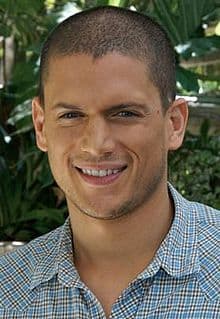 Moda Wentworth Miller 