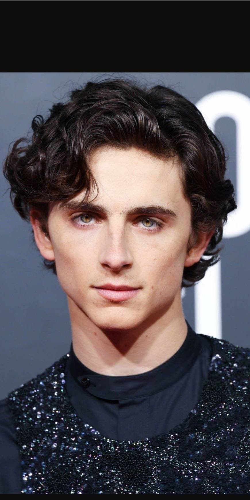 Moda Timothée Chalamet