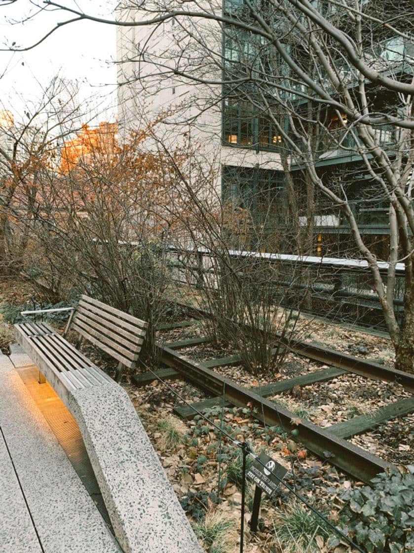 Place The High Line