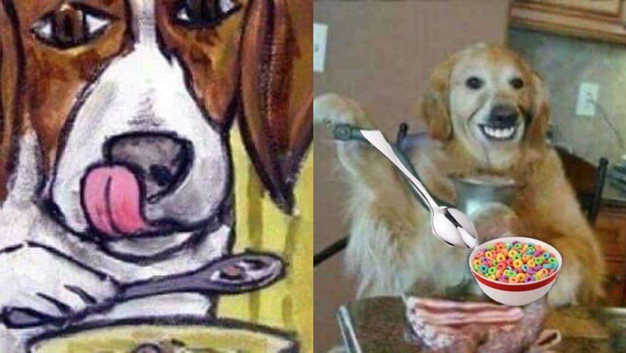 Moda Perro comiendo cereal con cuchara