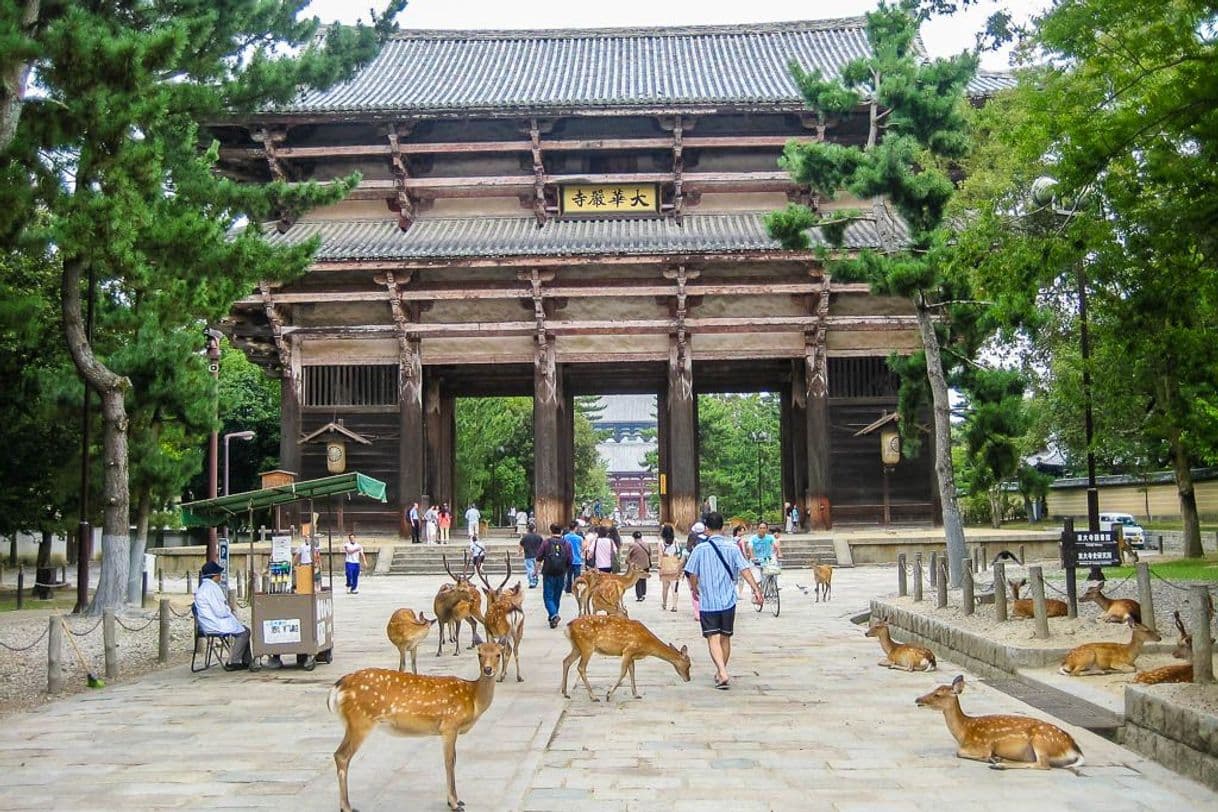 Place Nara