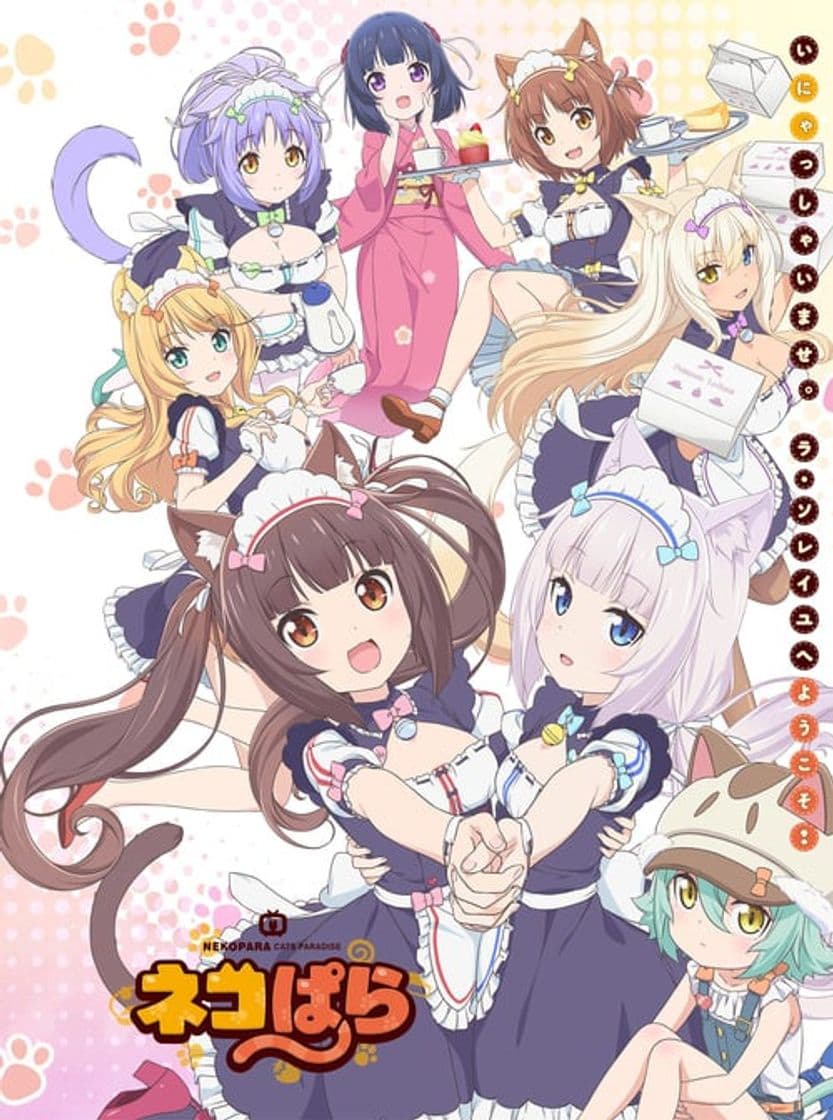 Serie Nekopara