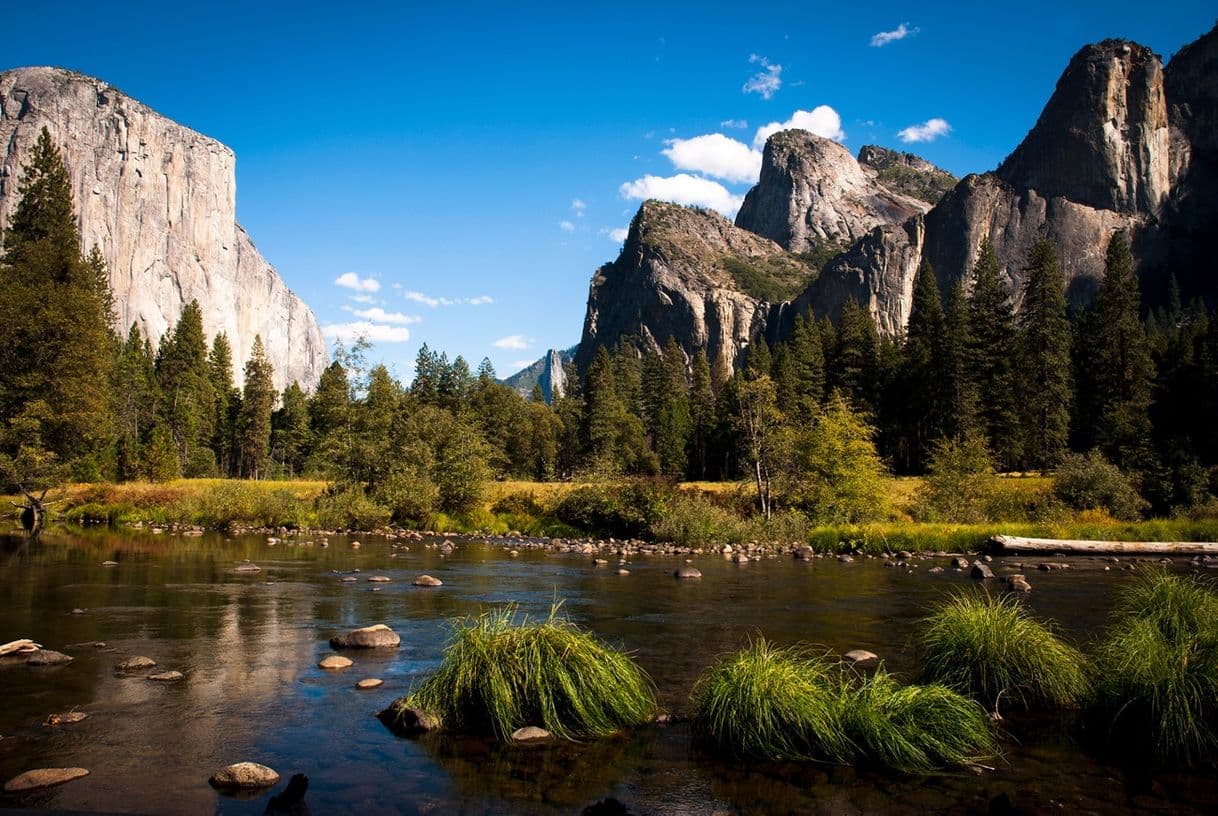 Place Yosemite