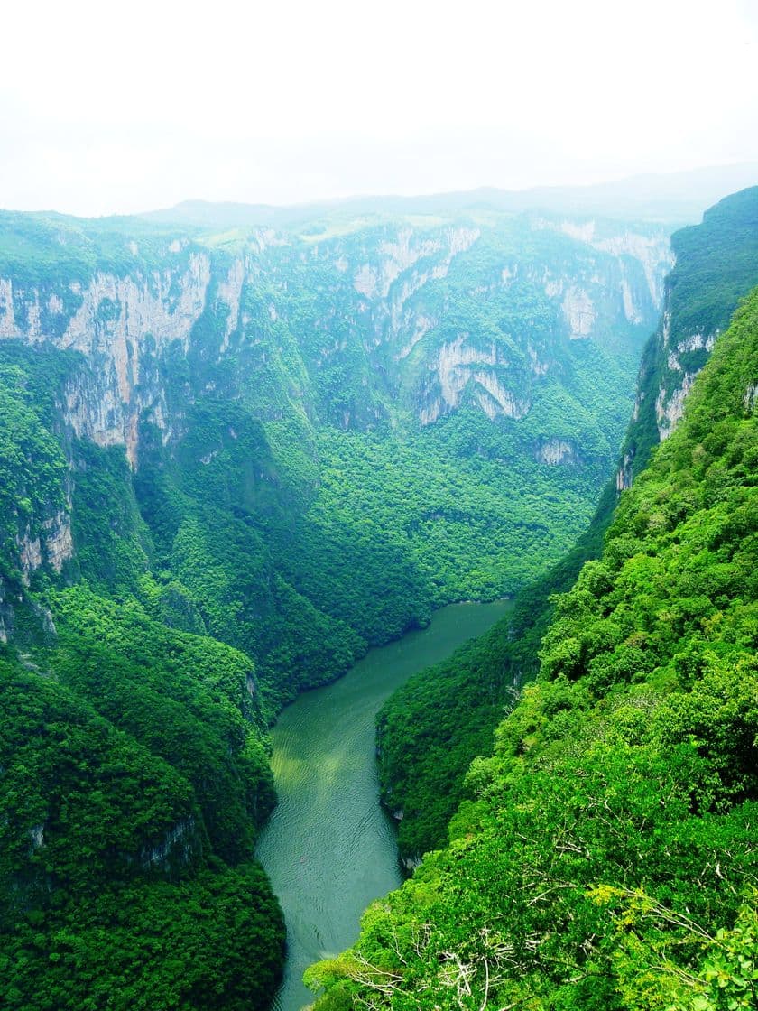 Place Cañon Del Sumidero