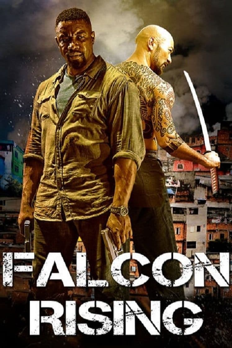 Película Falcon Rising