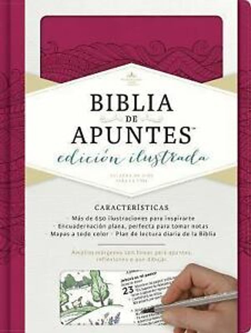 Book Rvr 1960 Biblia de Apuntes