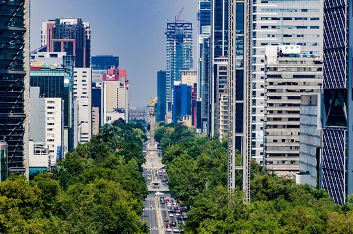 Place Avenida Paseo de la Reforma