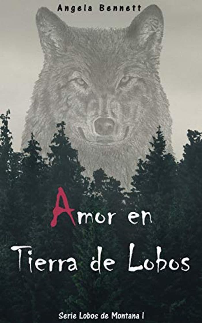 Book Amor en Tierra de Lobos