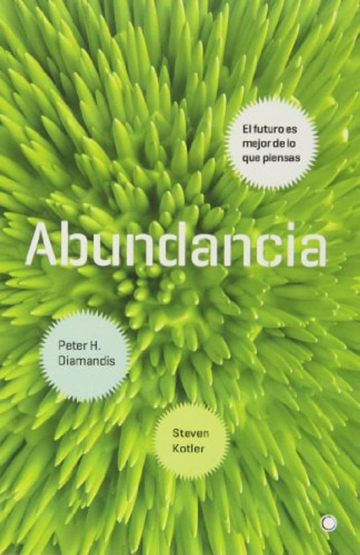 Libro Abundancia