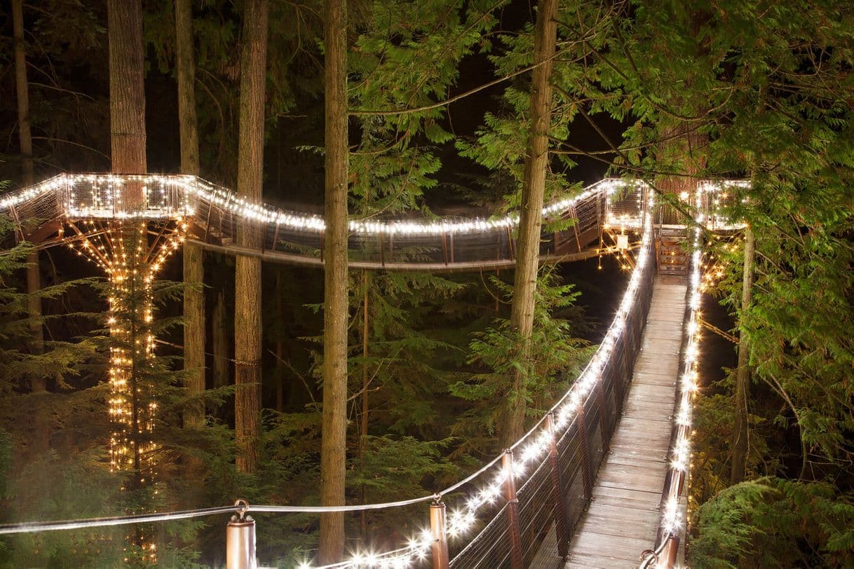 Place Capilano Suspension Bridge