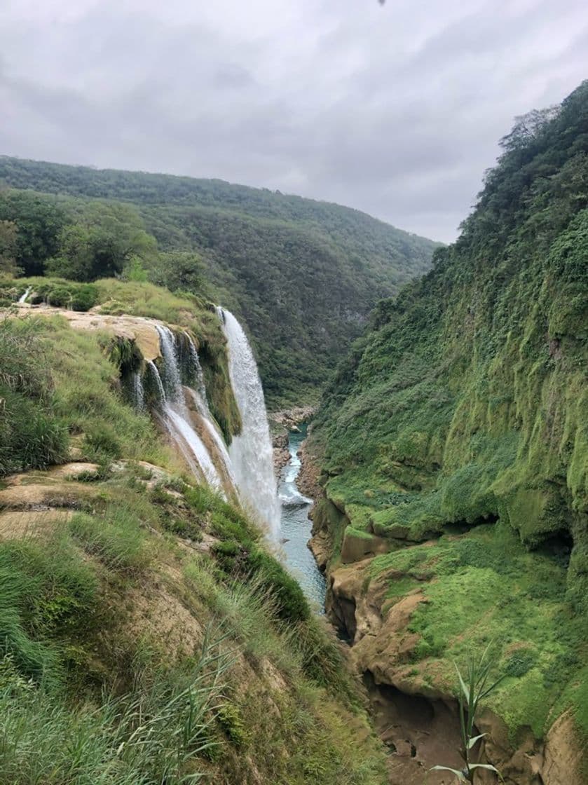 Place Cascada de Tamul