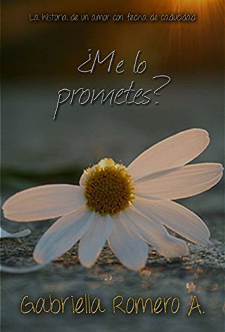 Book ¿Me lo prometes?