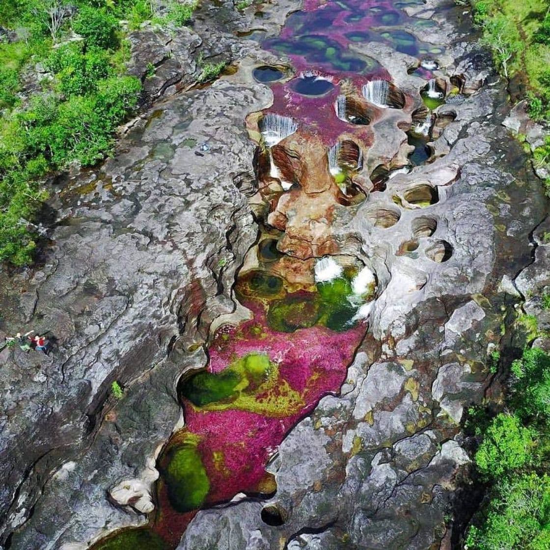 Lugar Caño Cristales