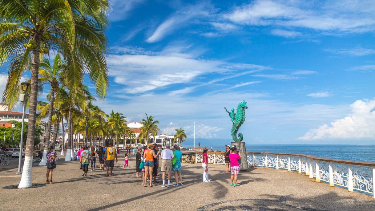 Place Puerto Vallarta