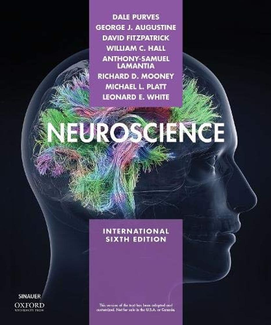 Libro Neuroscience