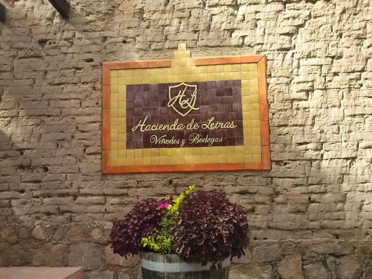 Lugar Hacienda de las letras “el vino de Aguascalientes “