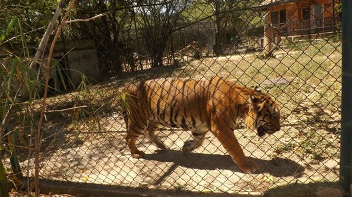 Lugar Parque Zoológico Bararida