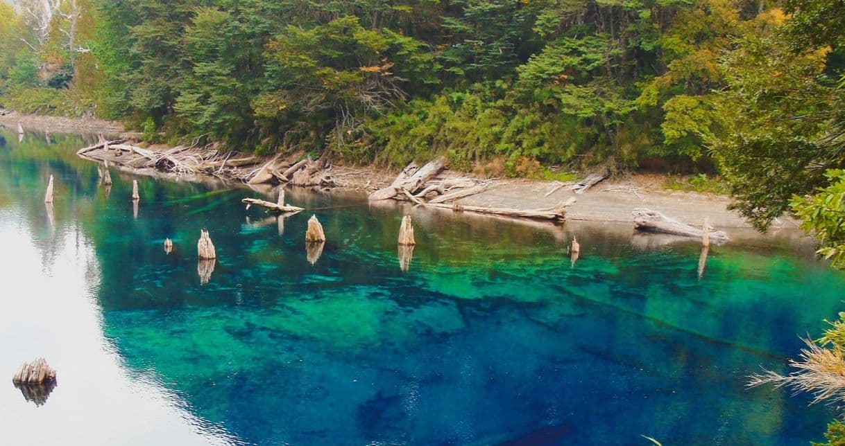 Lugar Parque Nacional Conguillio