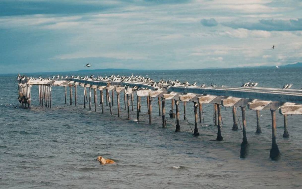 Lugar Punta Arenas