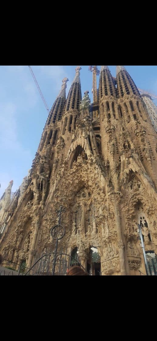 Lugar Basílica Sagrada Familia